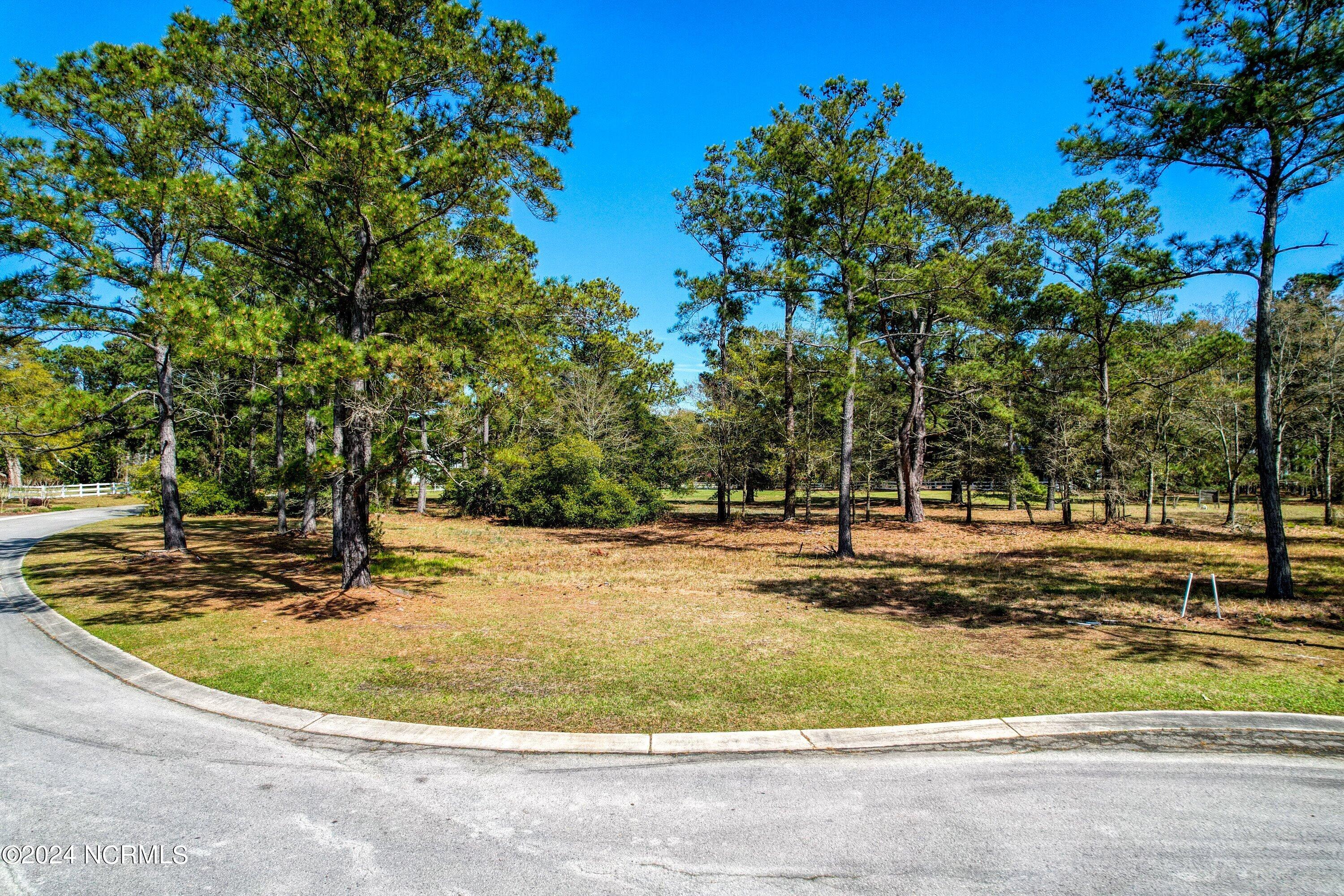 3395 Turnbuckle Lane Property Photo 13