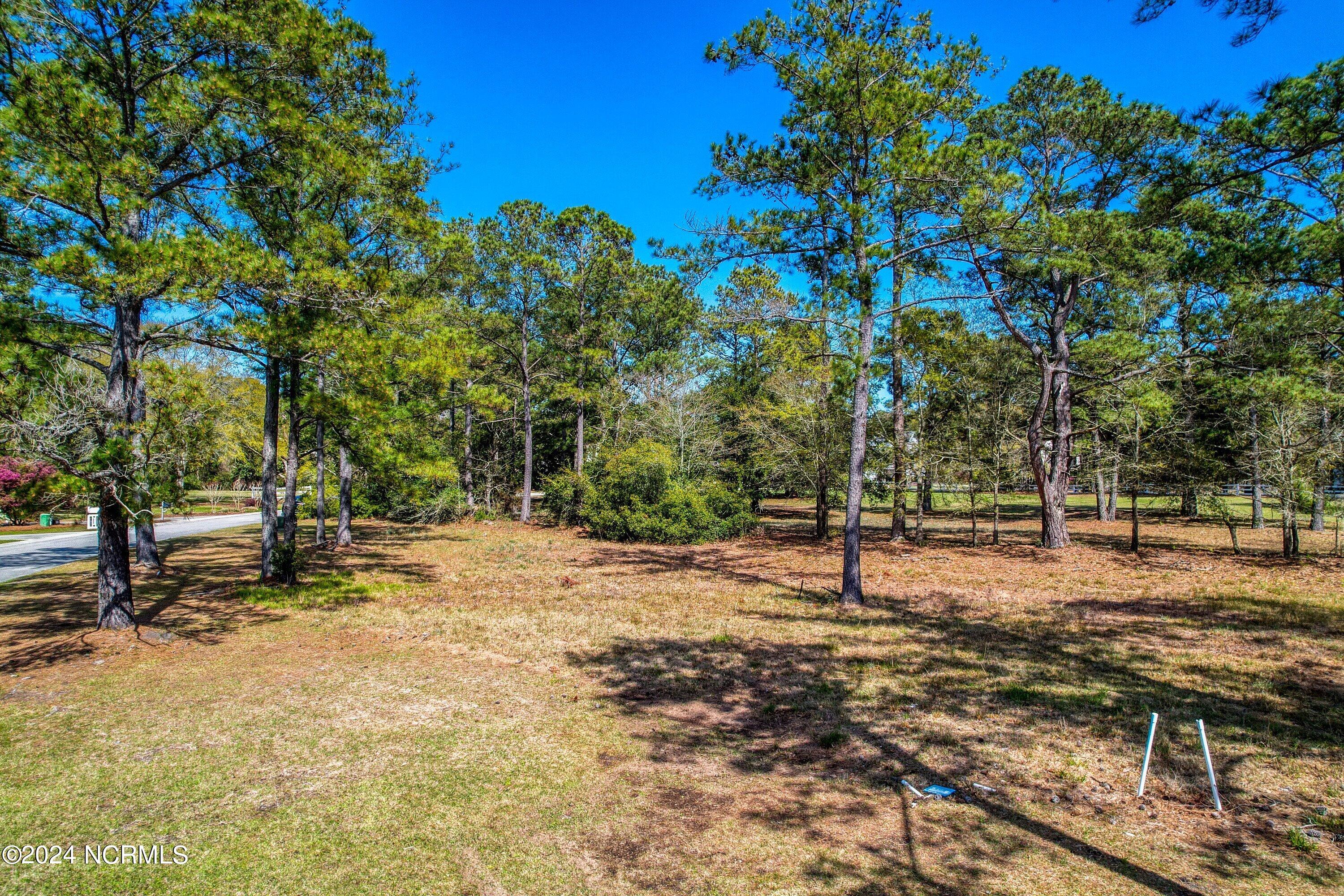 3395 Turnbuckle Lane Property Photo 14
