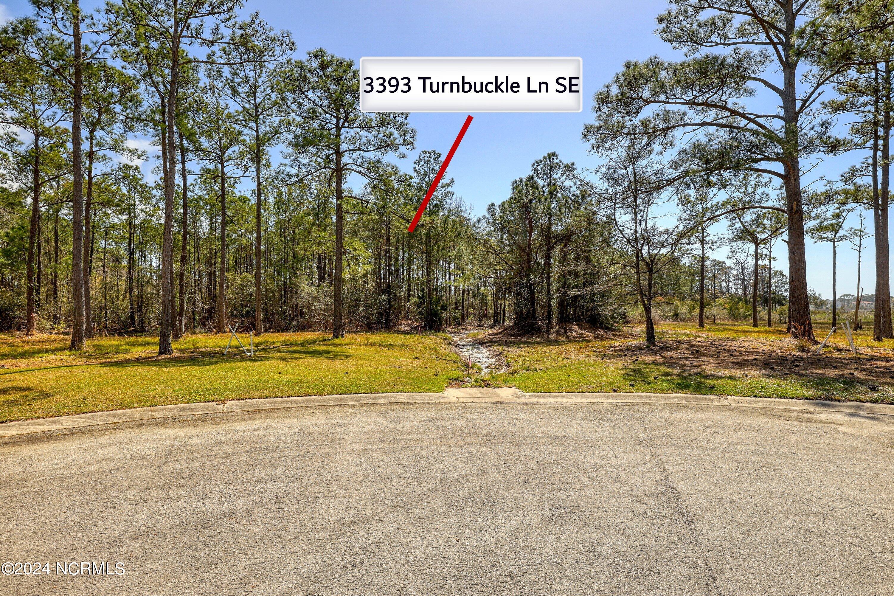 3395 Turnbuckle Lane Property Photo 26