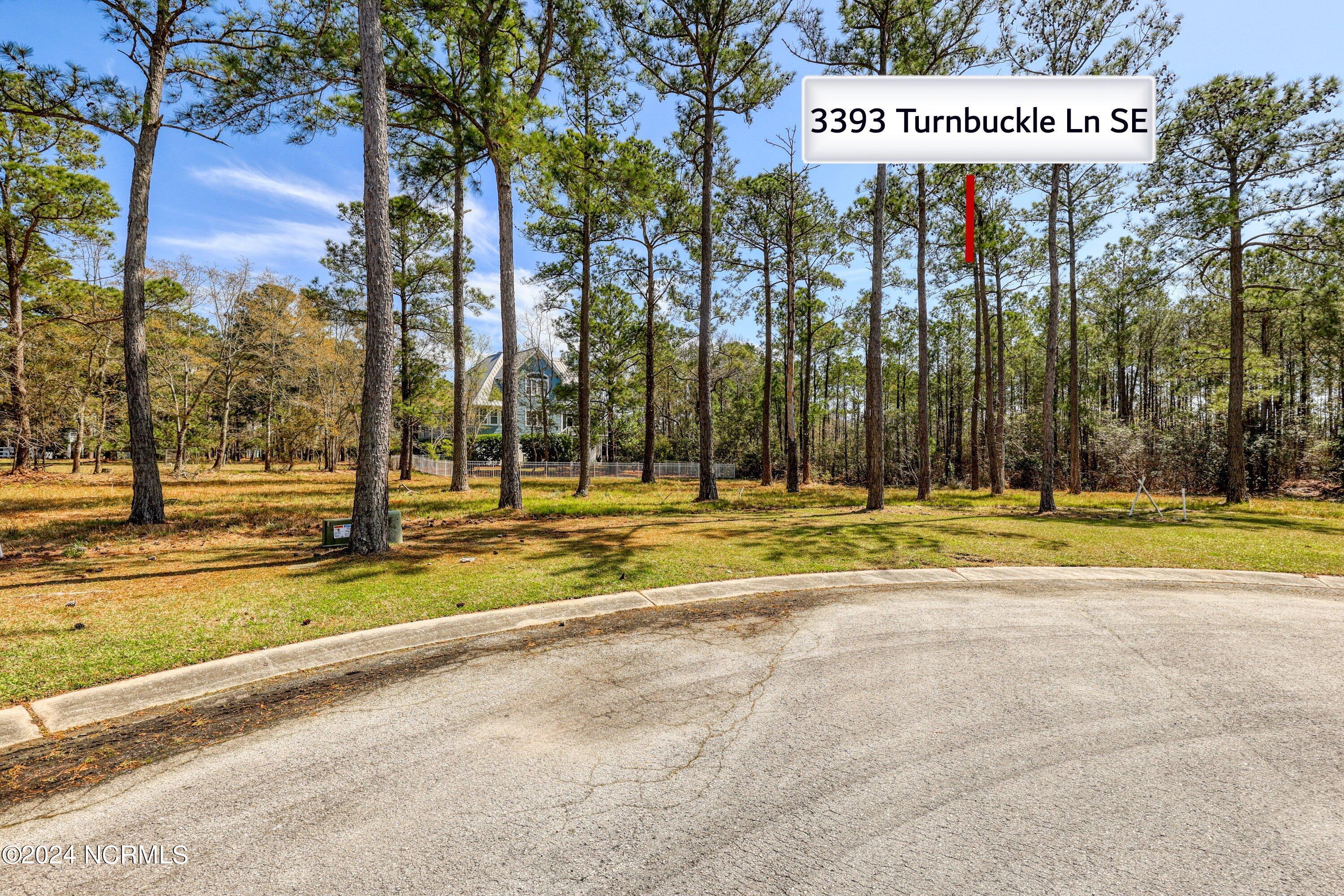 3395 Turnbuckle Lane Property Photo 28