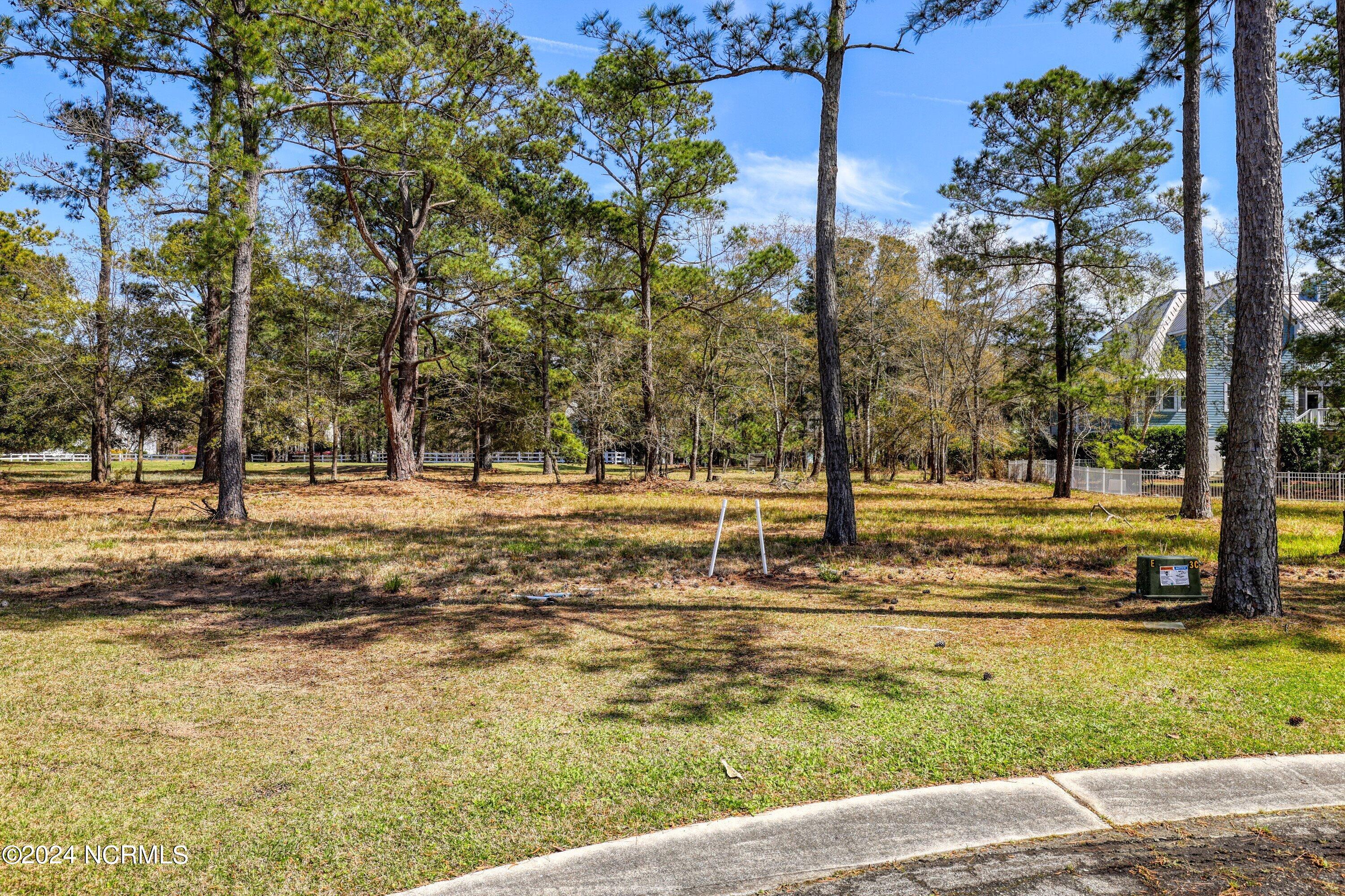 3395 Turnbuckle Lane Property Photo 29