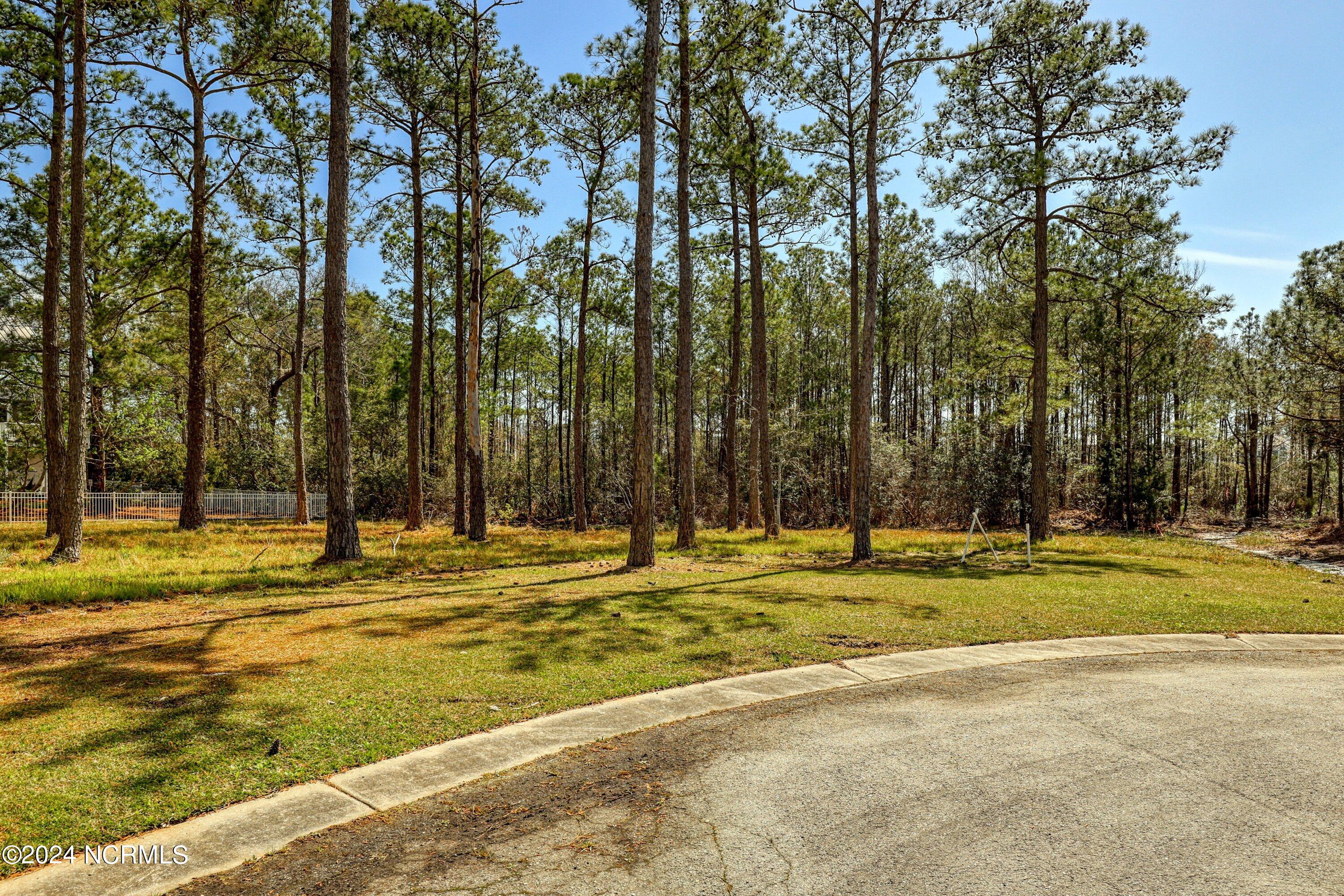 3395 Turnbuckle Lane Property Photo 30