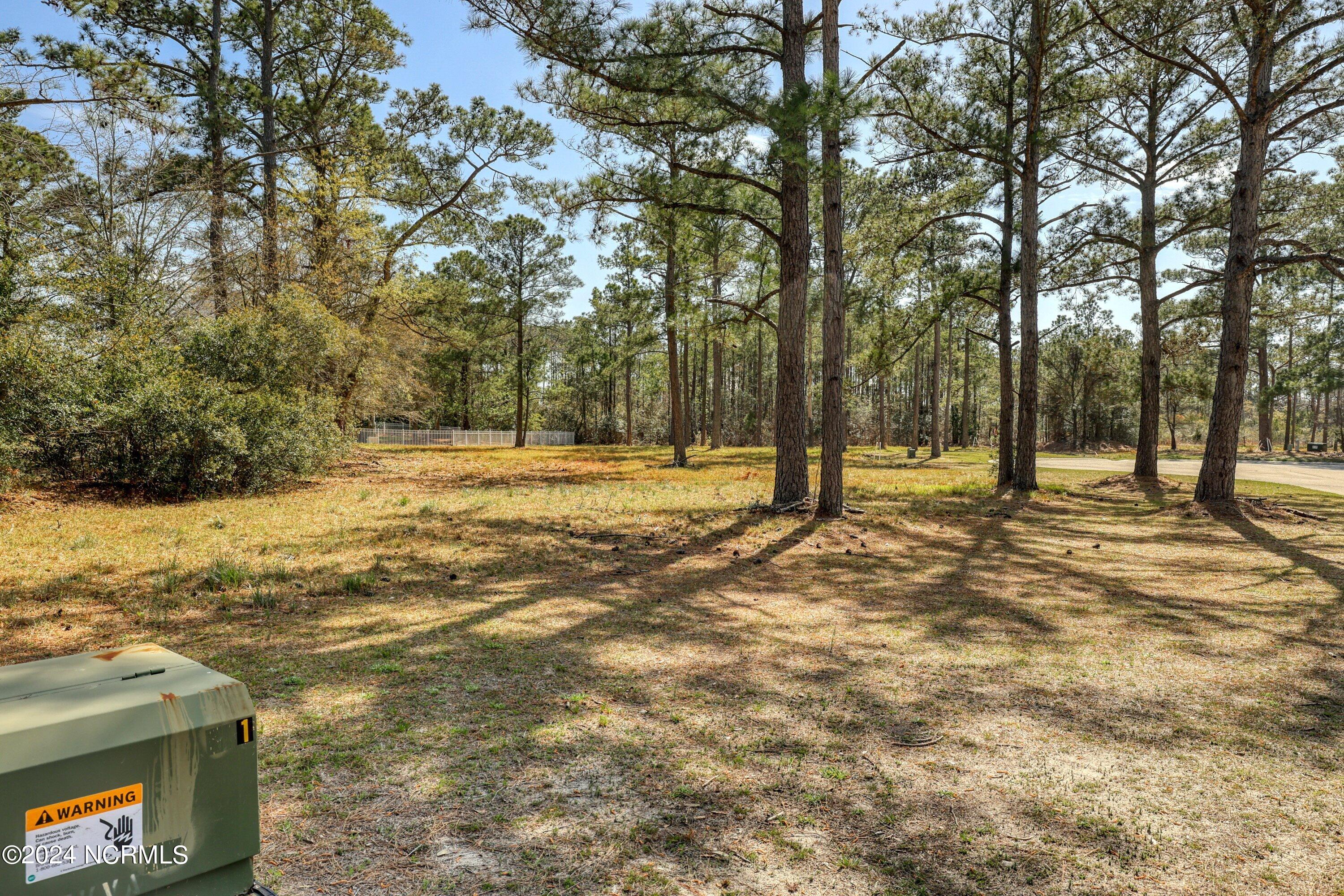 3395 Turnbuckle Lane Property Photo 33