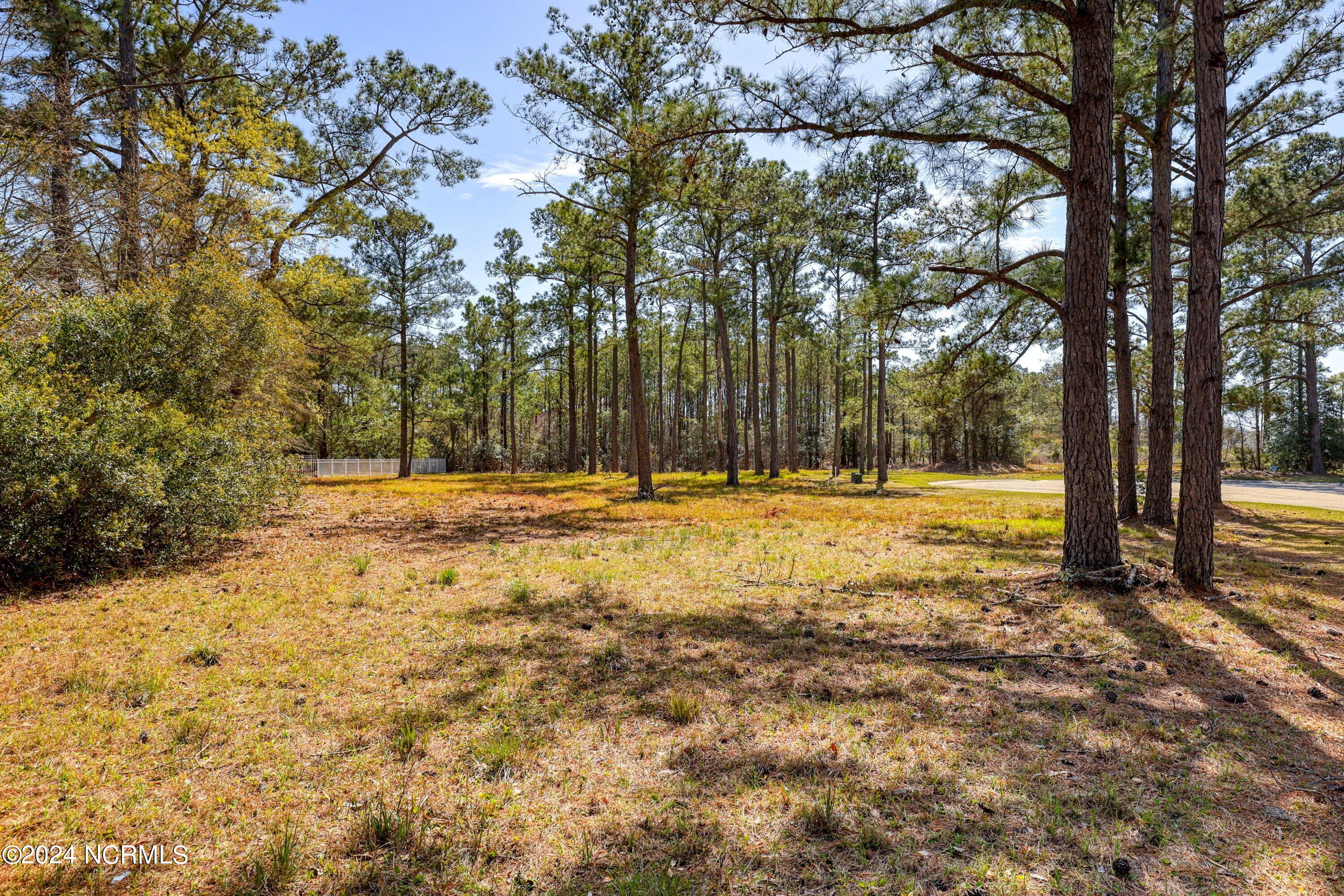 3395 Turnbuckle Lane Property Photo 34