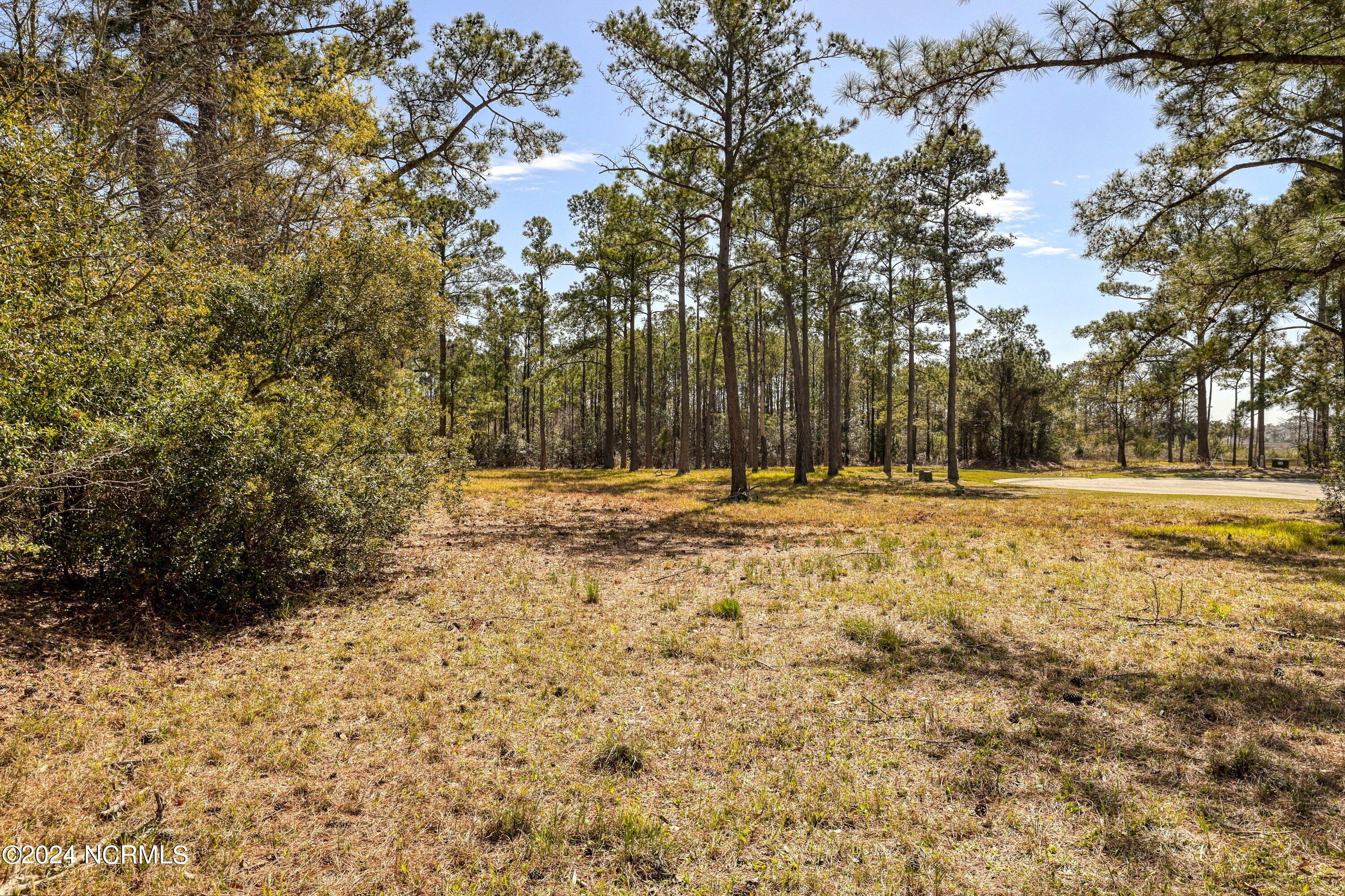 3395 Turnbuckle Lane Property Photo 35
