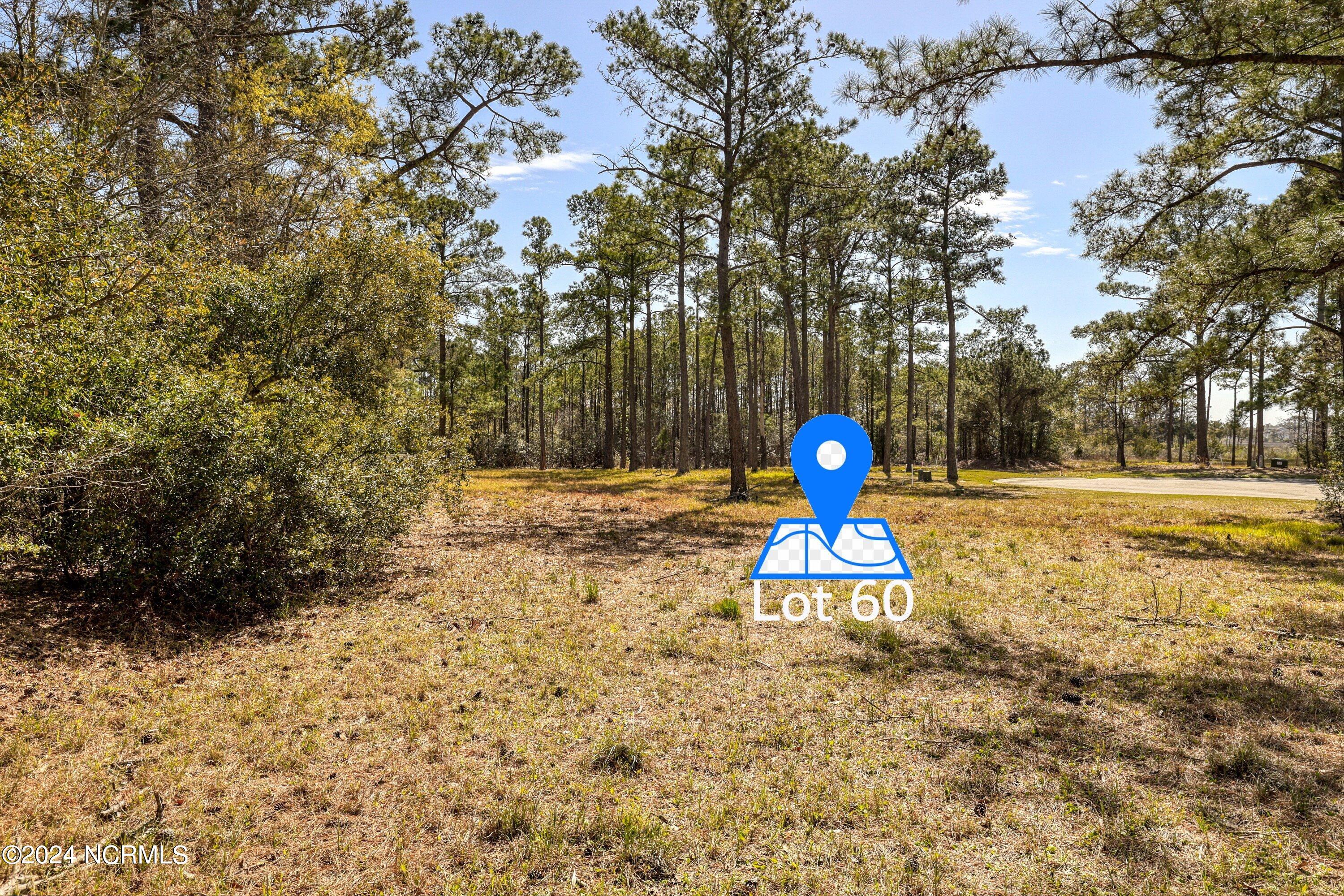 3395 Turnbuckle Lane Property Photo 36