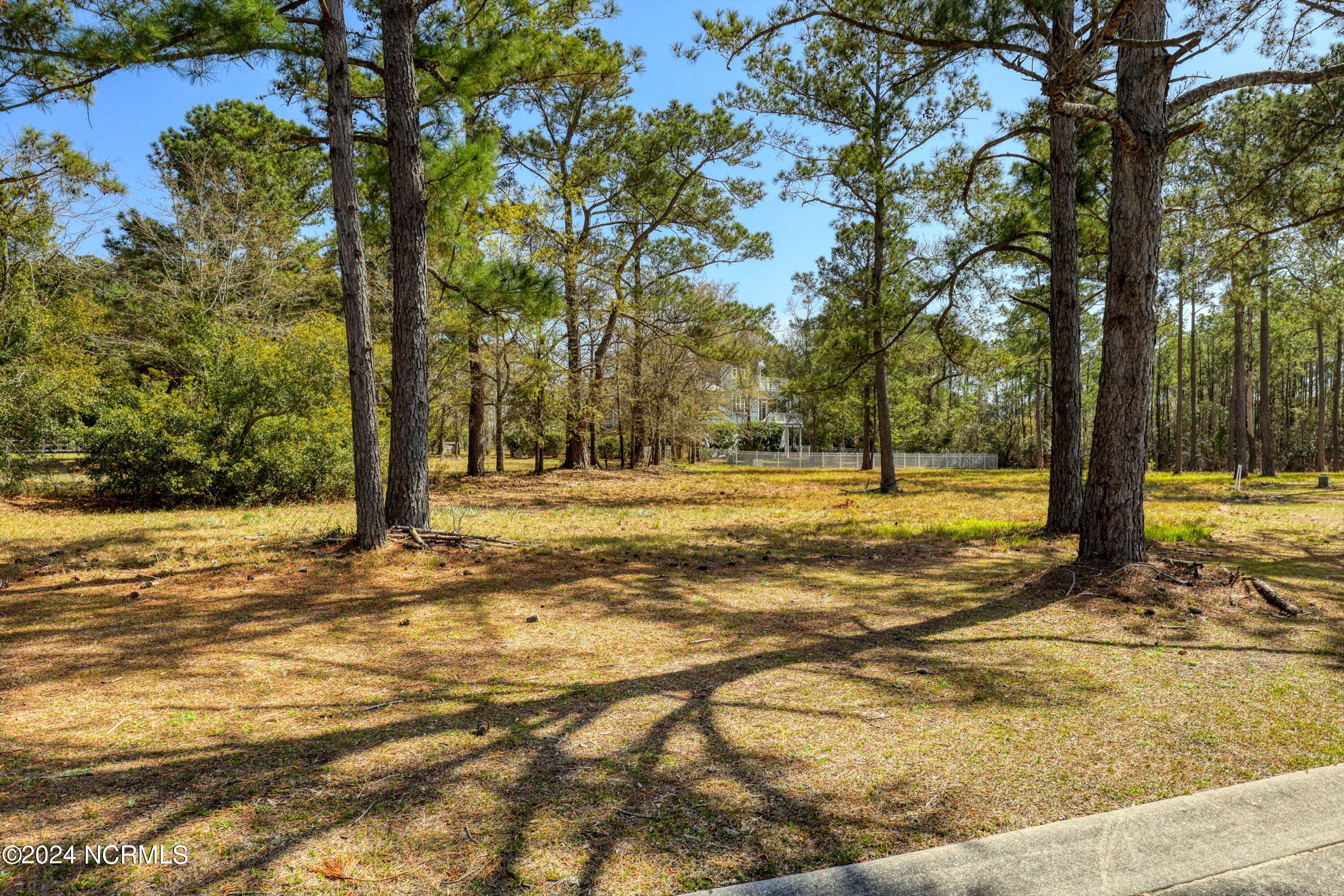 3395 Turnbuckle Lane Property Photo 37