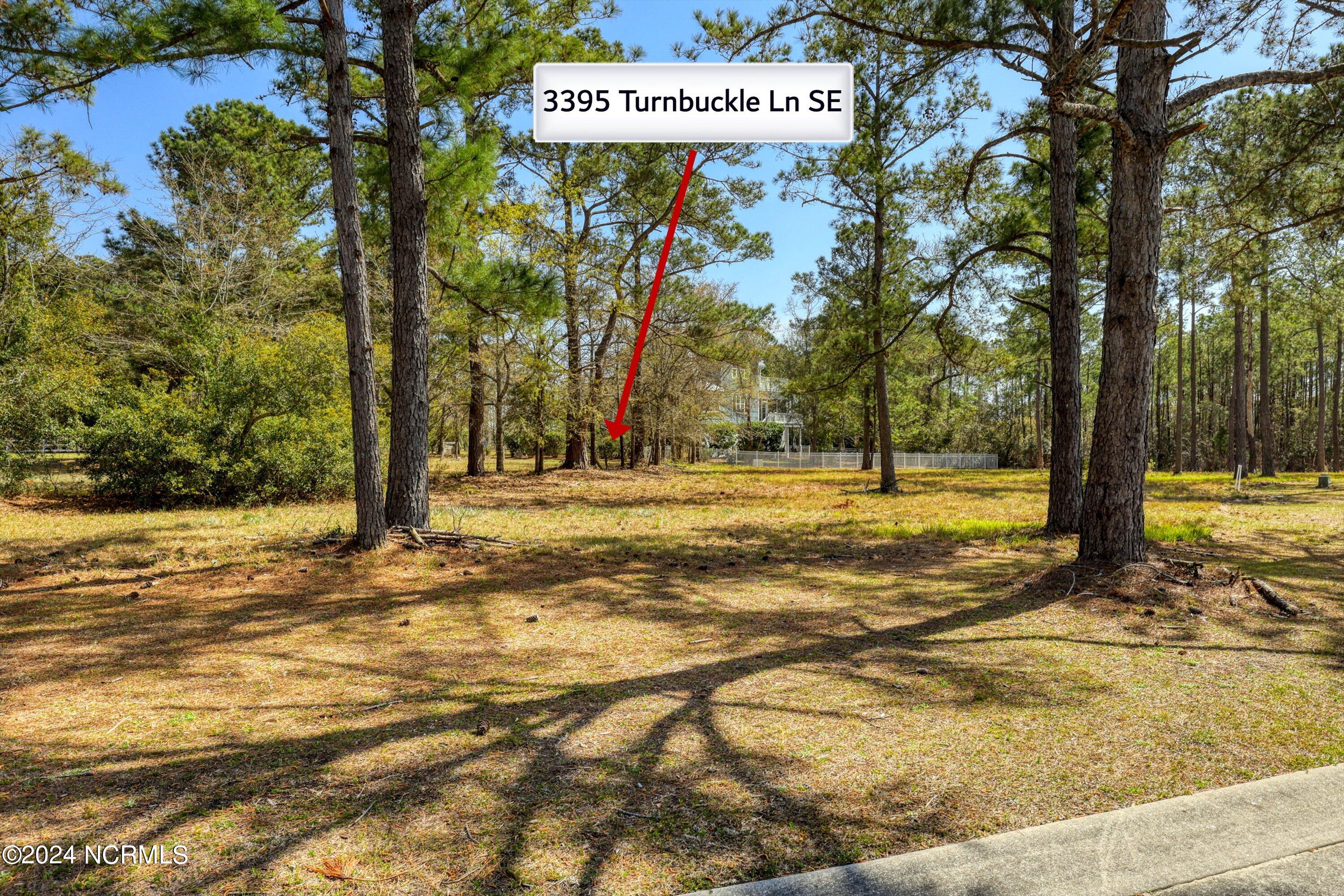 3395 Turnbuckle Lane Property Photo 38