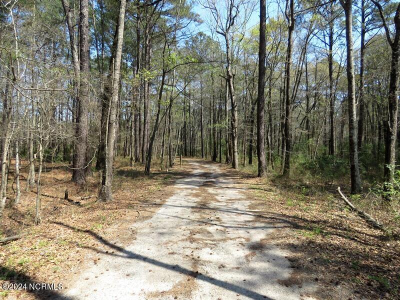 2366 Elberry Road Property Photo 65