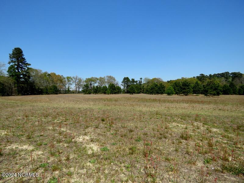 2366 Elberry Road Property Photo 69
