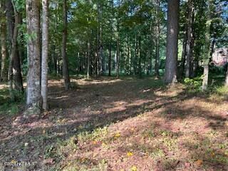 3810 Lichen Lane Property Photo 1