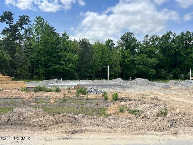 517 Isaac Branch Drive Property Photo 55