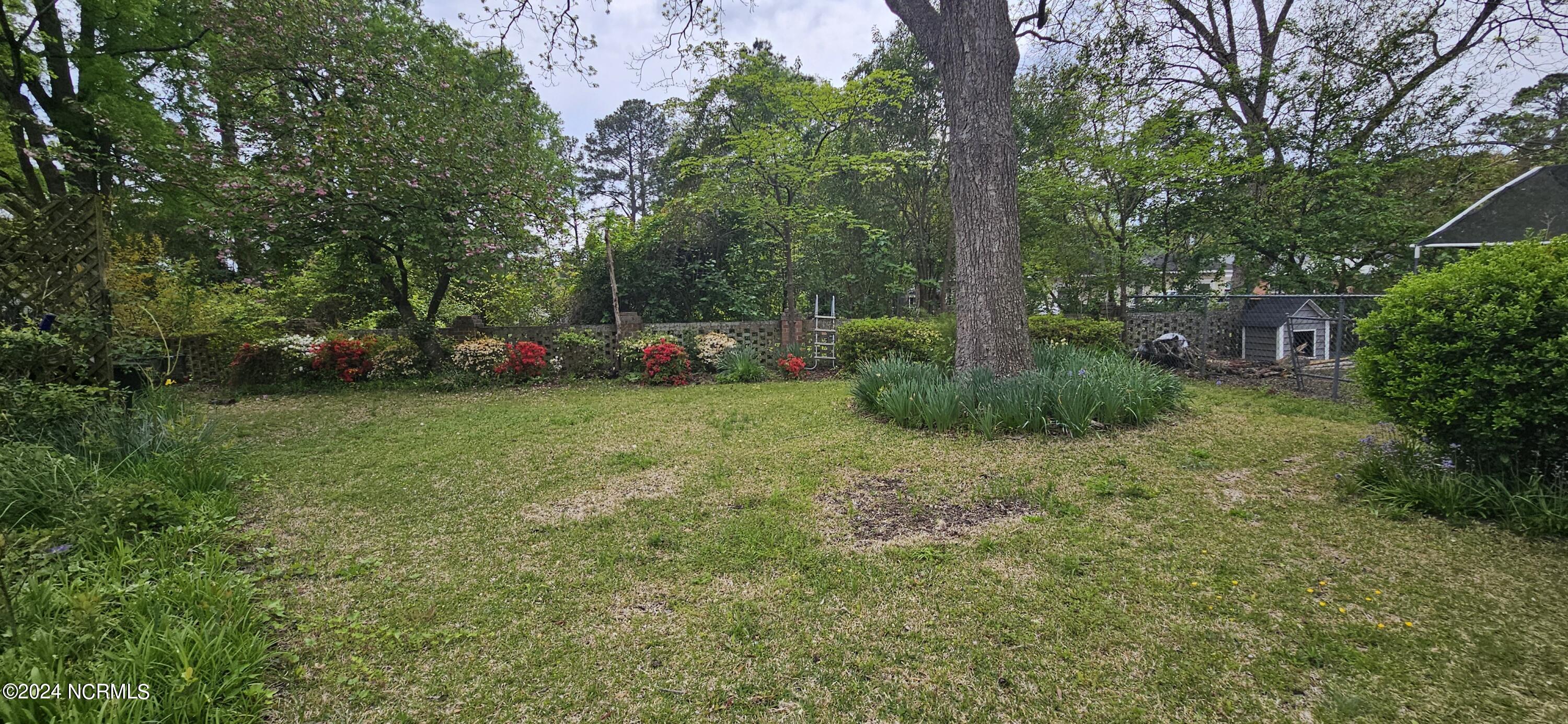 105 Finch Street Property Photo 7