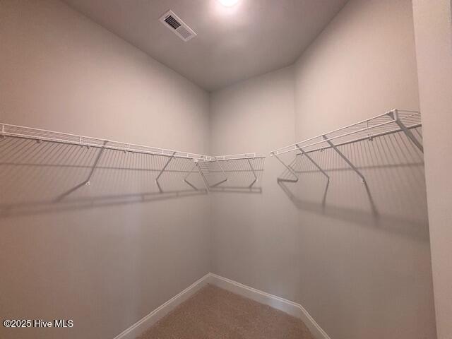 107 Firethorn Circle Property Photo 14