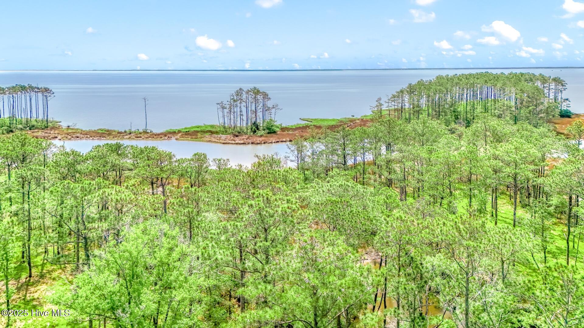 175 14 River Watch Road Property Photo 1