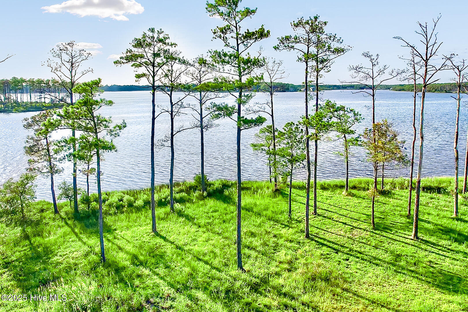469 81 Ballast Point Property Photo 14