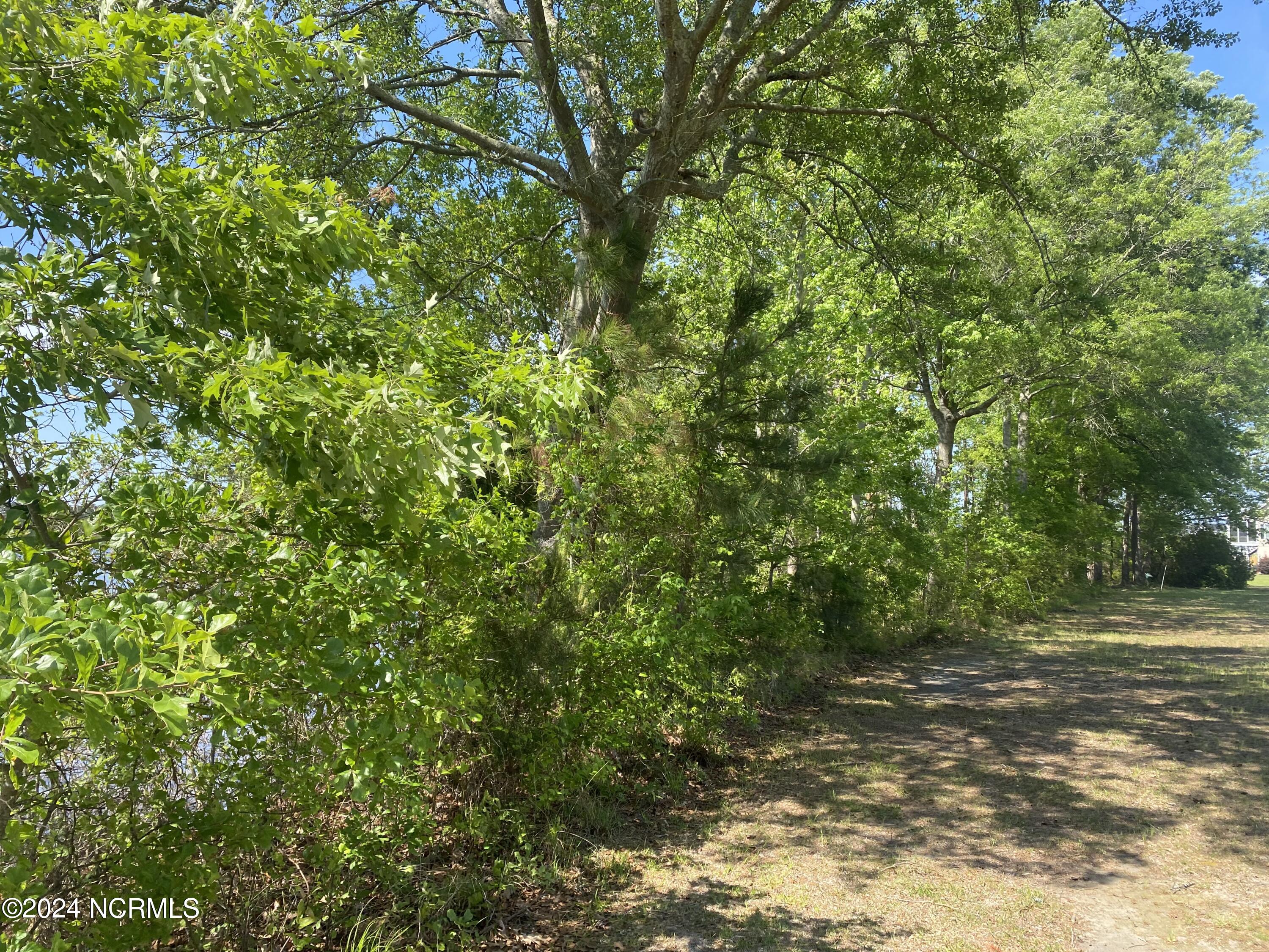 65 Sr 1767 Off Lane Property Photo 7