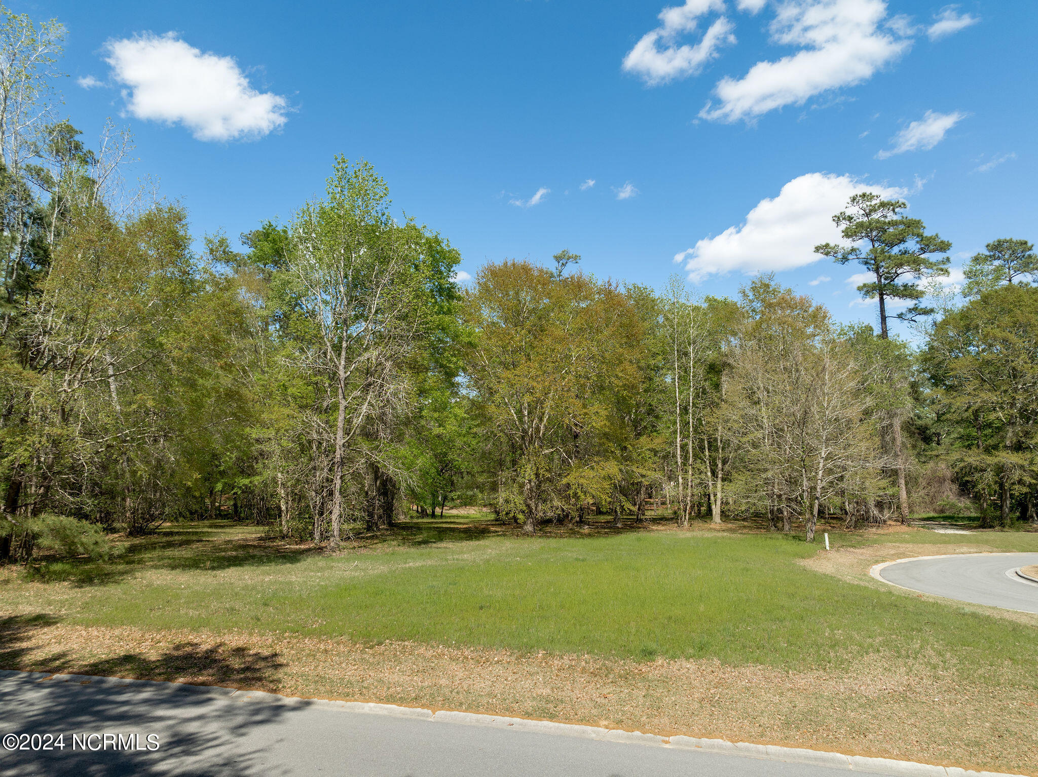 167 Maple Creek Drive Property Photo 3