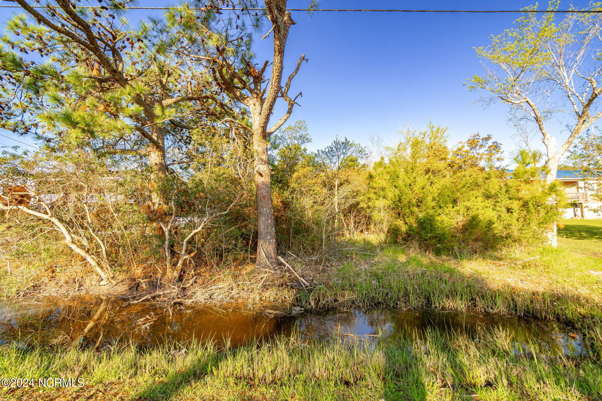 807 Merrimon Road Property Photo 6