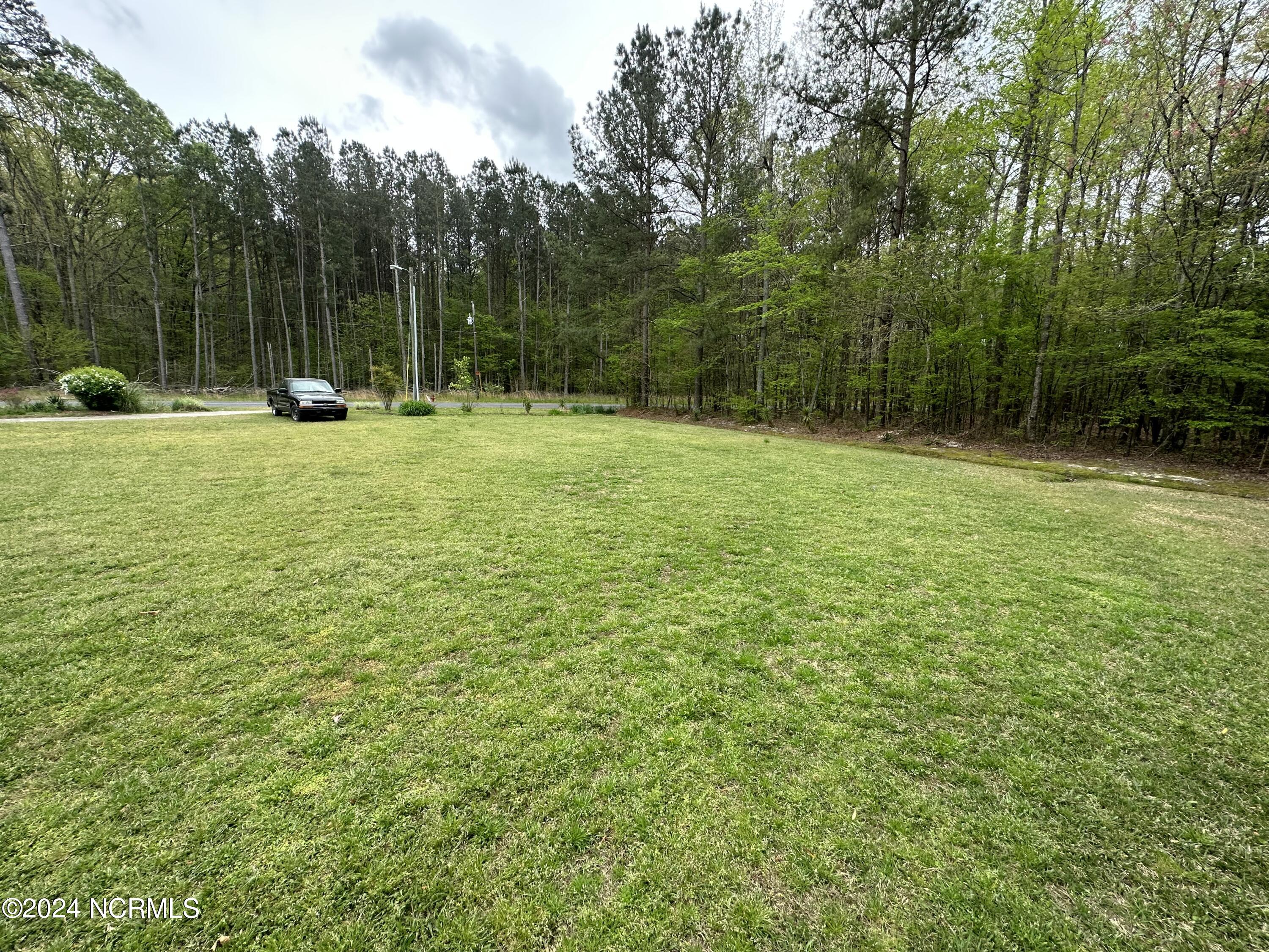 217 William Vinson Road Property Photo 8