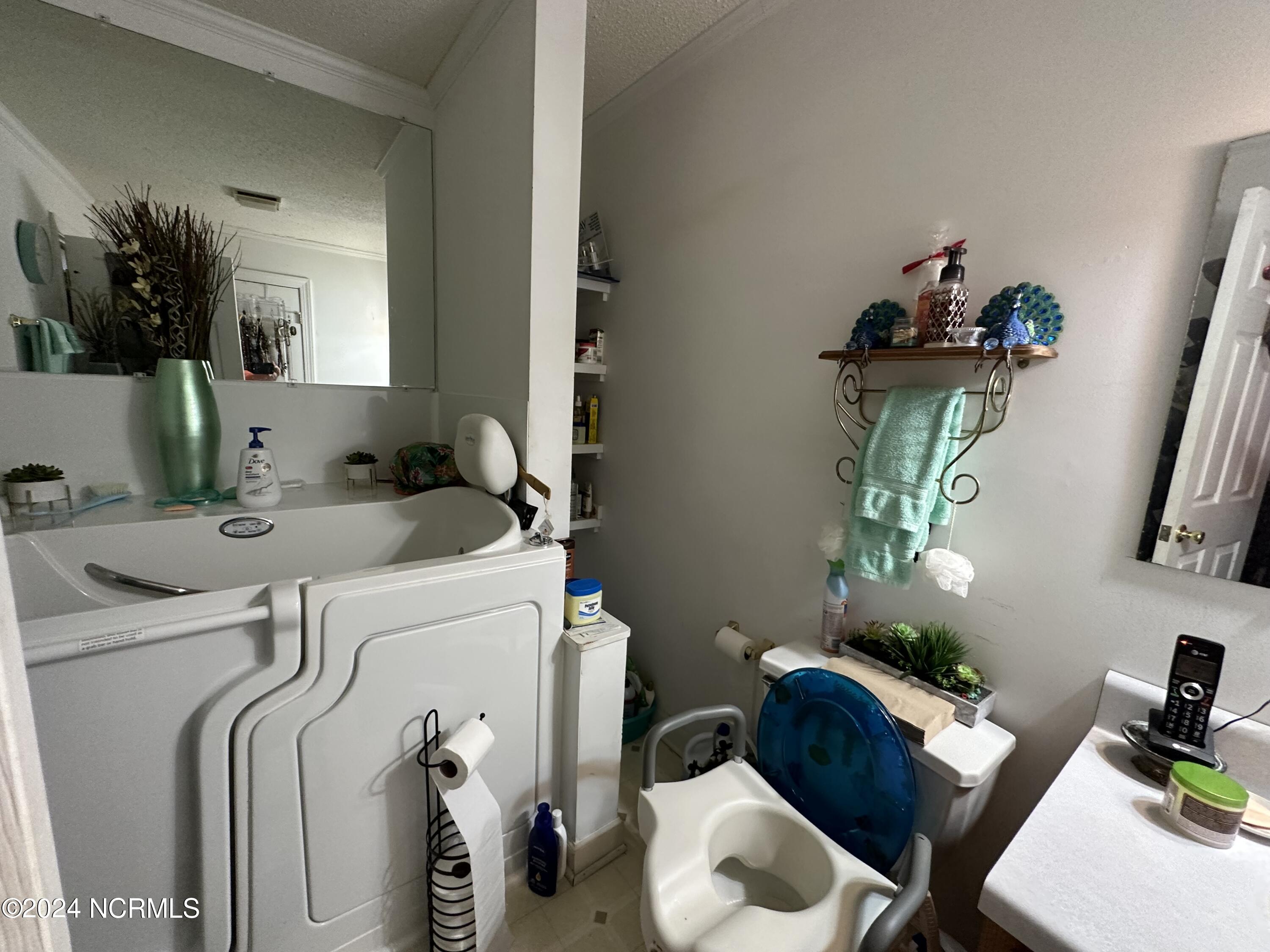 217 William Vinson Road Property Photo 33
