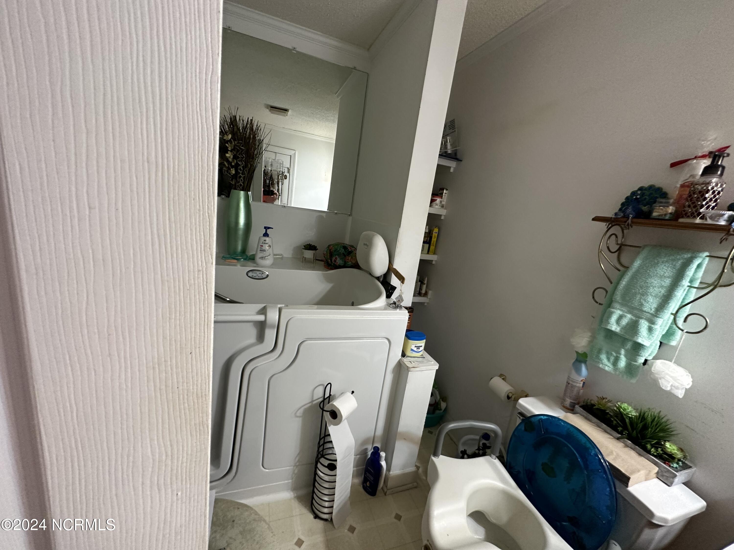 217 William Vinson Road Property Photo 34