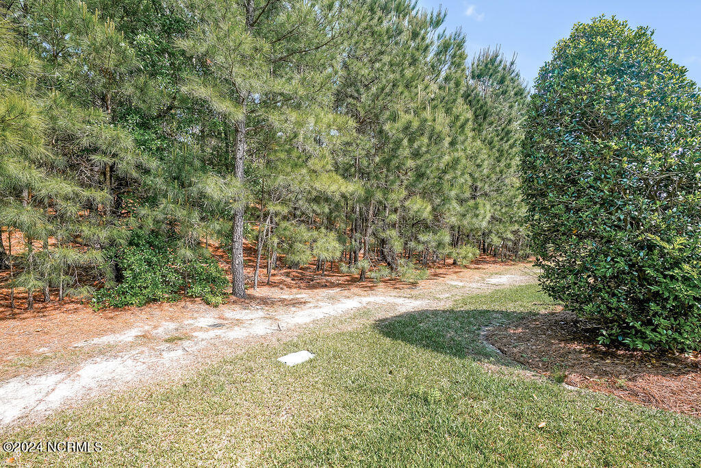 1153 Lillibridge Drive Property Photo 33