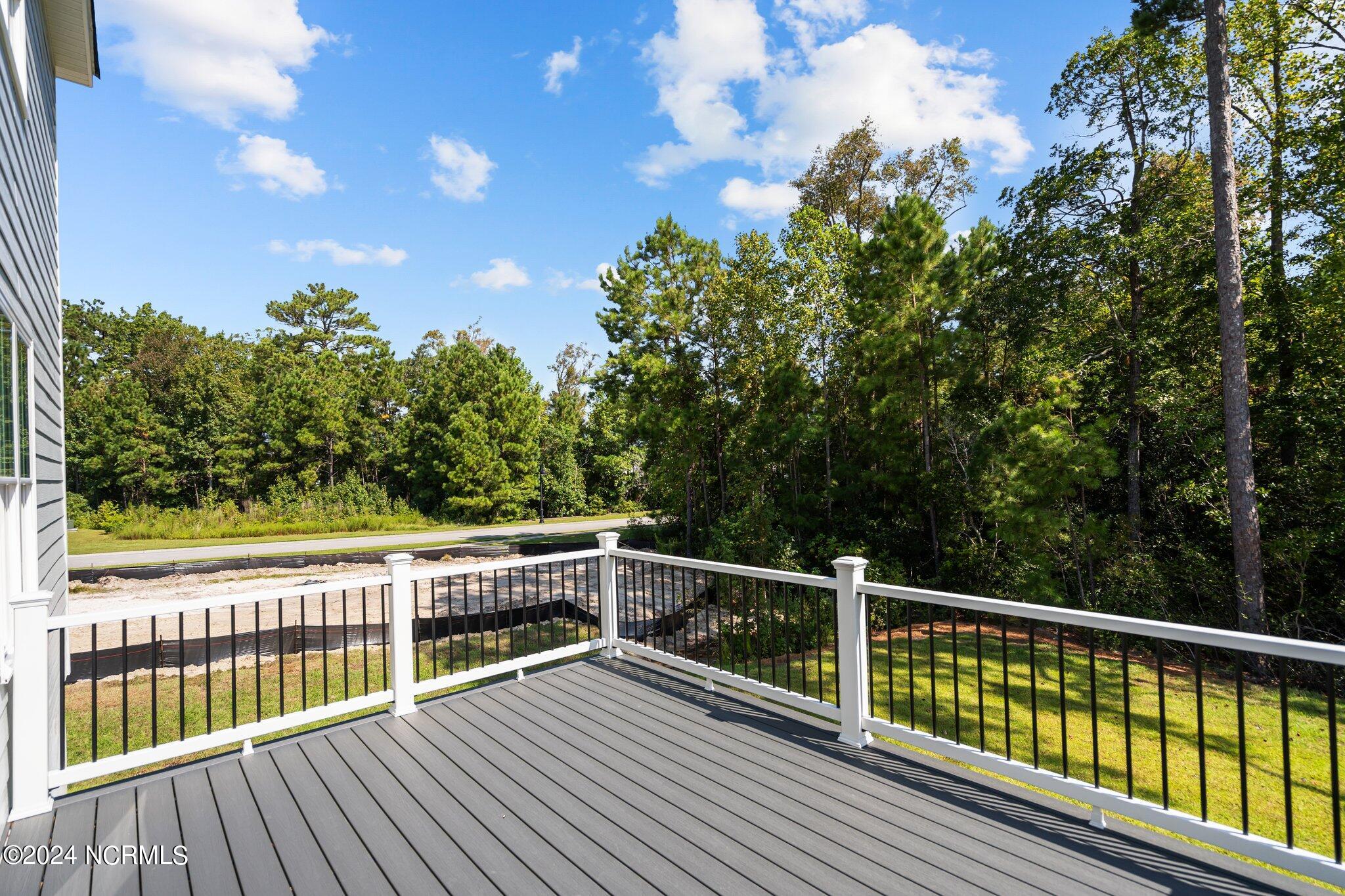 4887 Scarlet Sage Way Property Photo 40