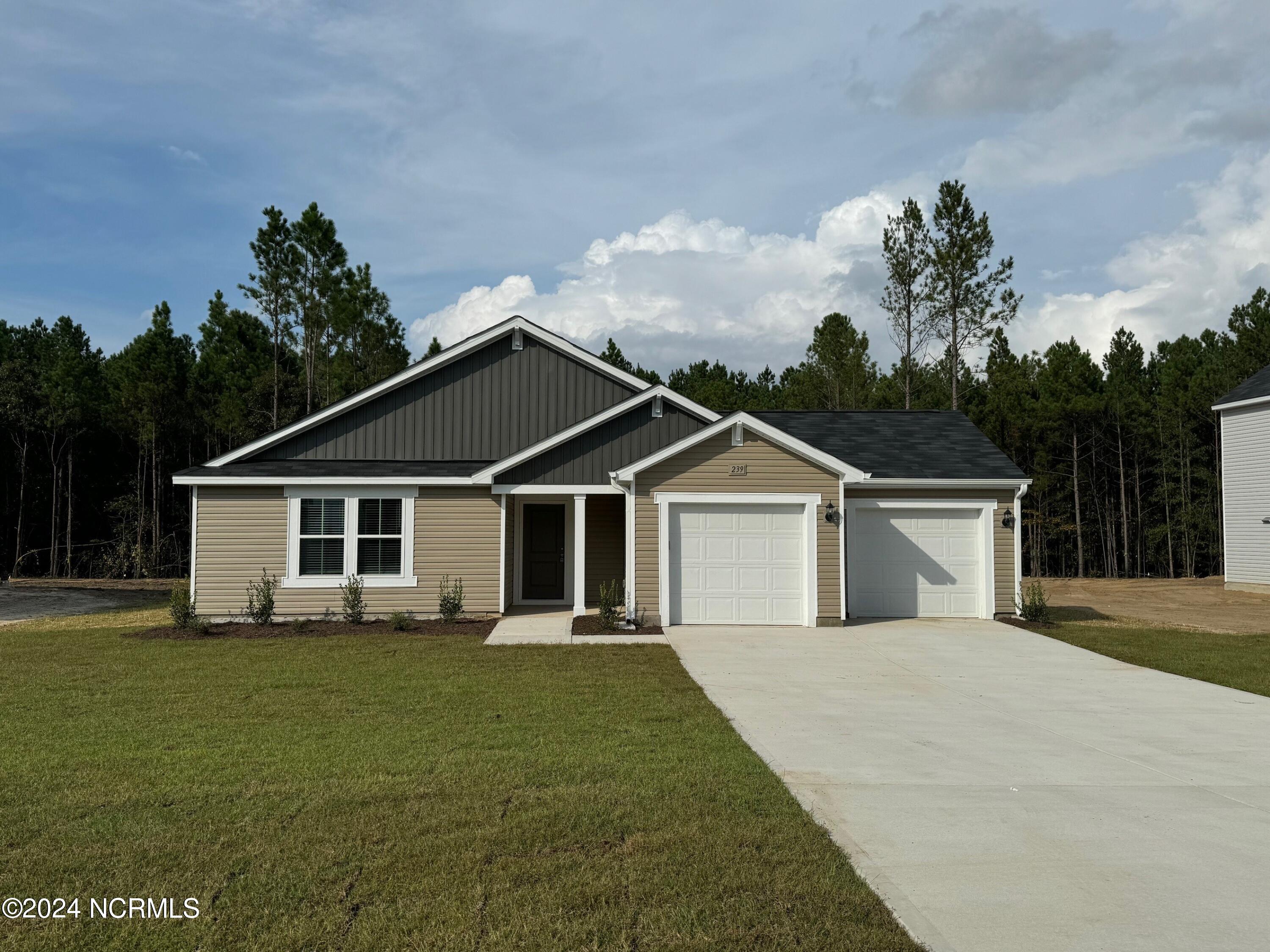 239 Rocking Horse Lane Property Photo 1