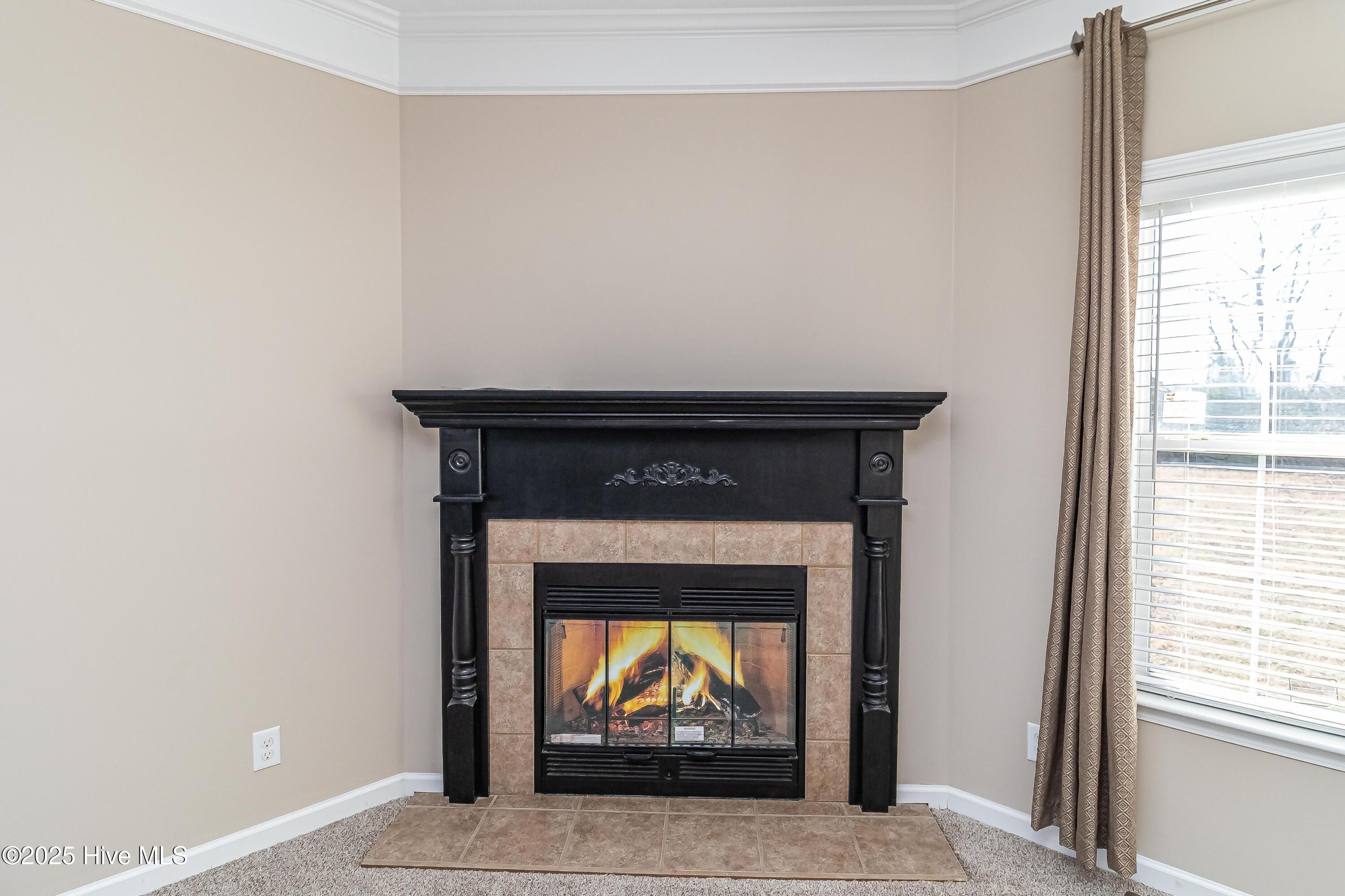 2313 Blackhawk Drive Property Photo 13