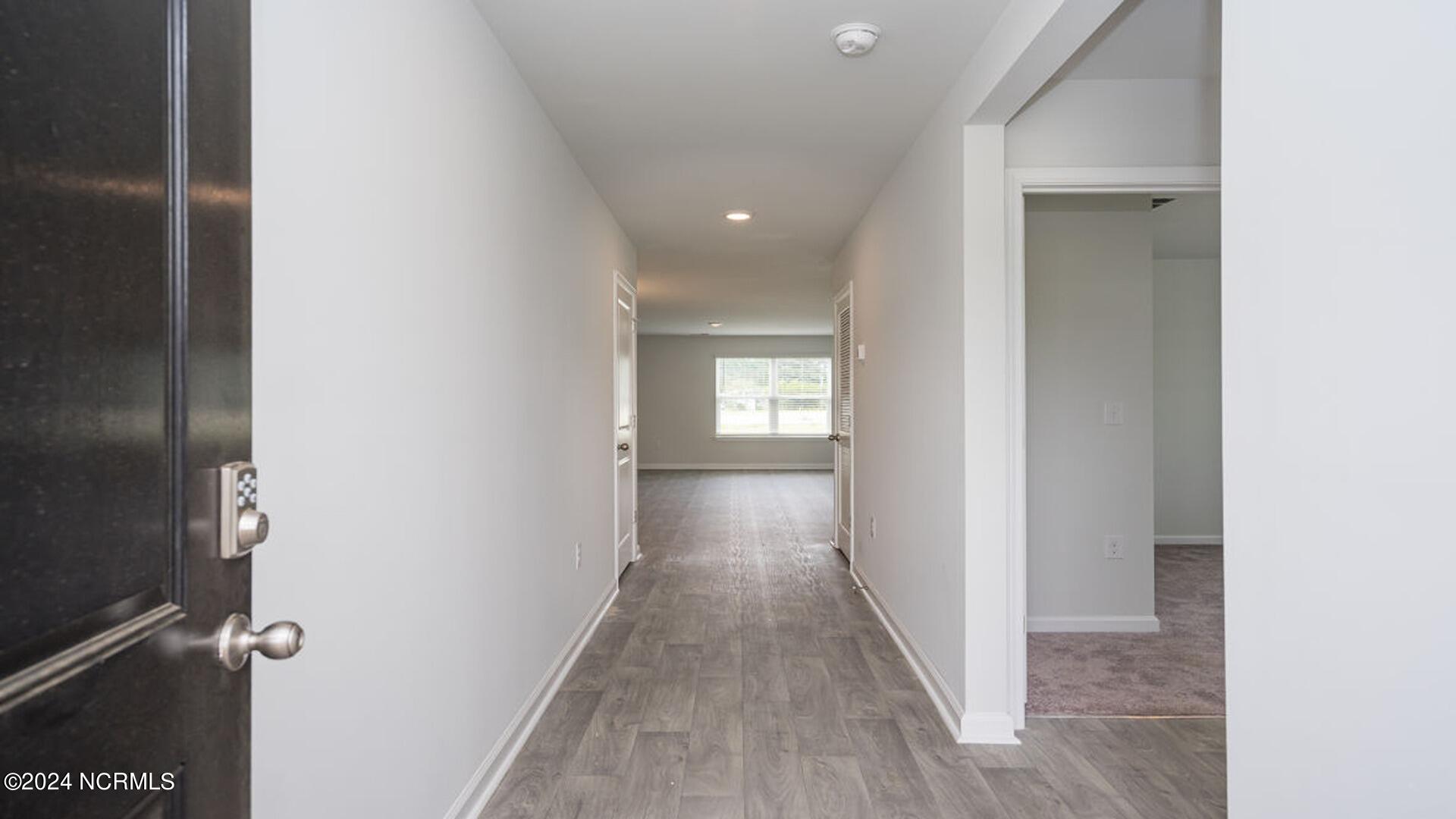 3850 Lady Bug Drive Property Photo 6