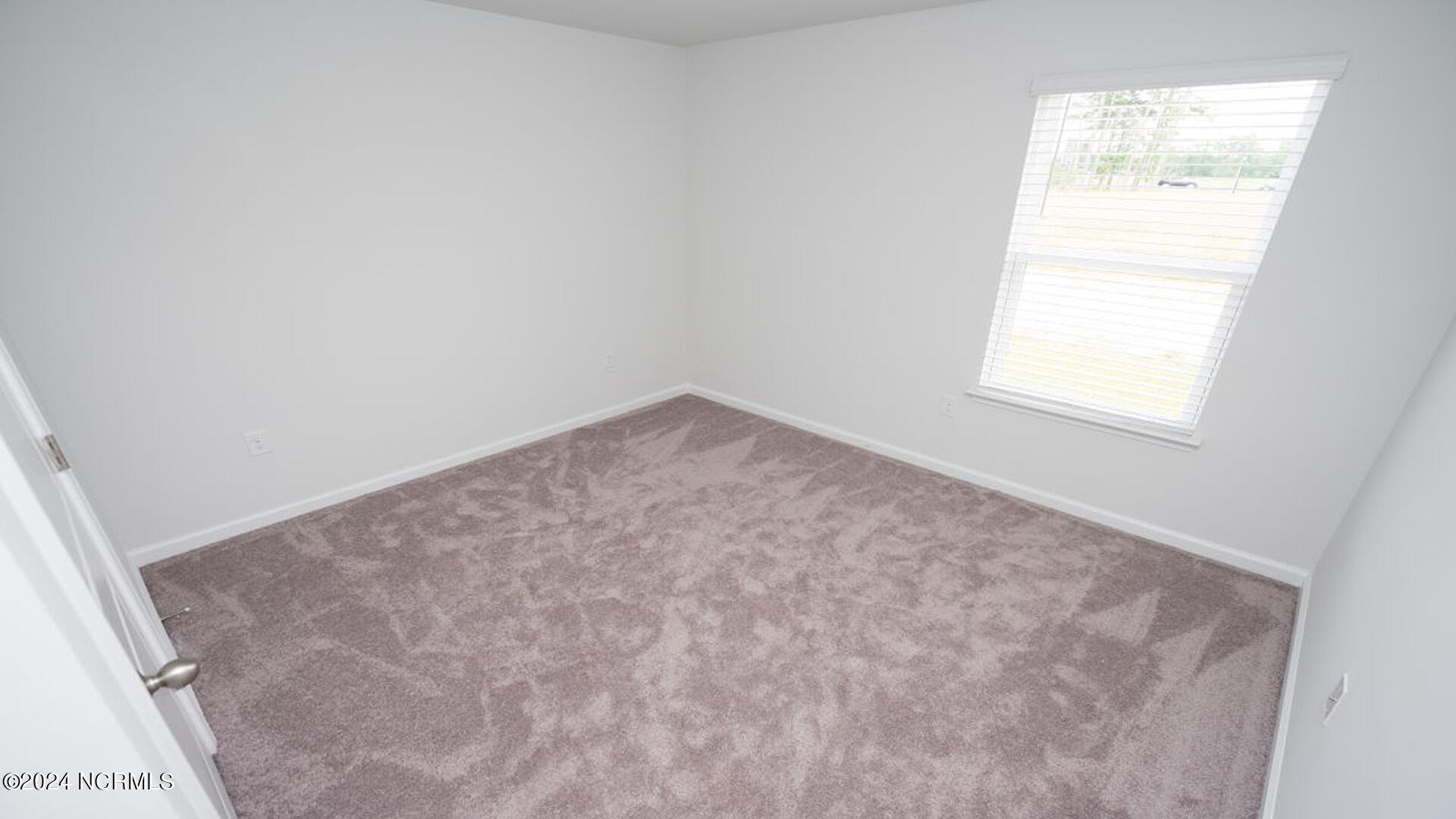 3850 Lady Bug Drive Property Photo 11