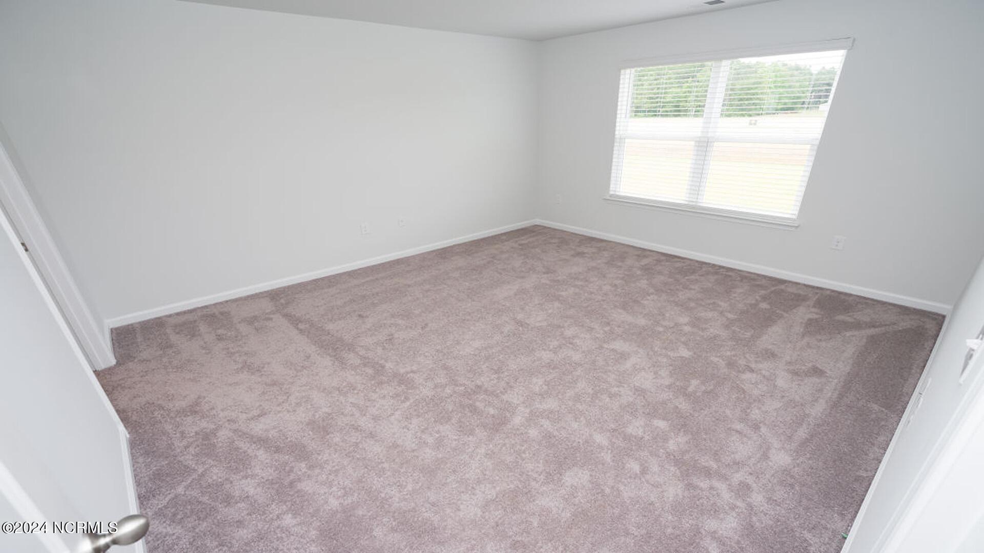 3850 Lady Bug Drive Property Photo 19