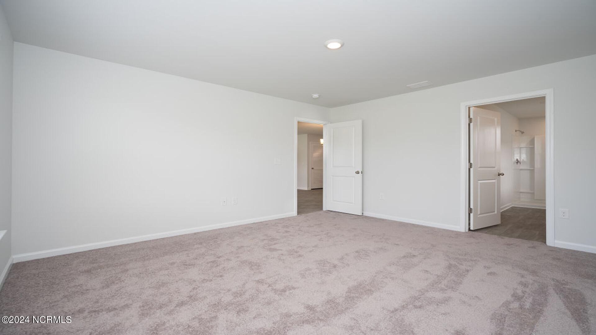 3850 Lady Bug Drive Property Photo 20