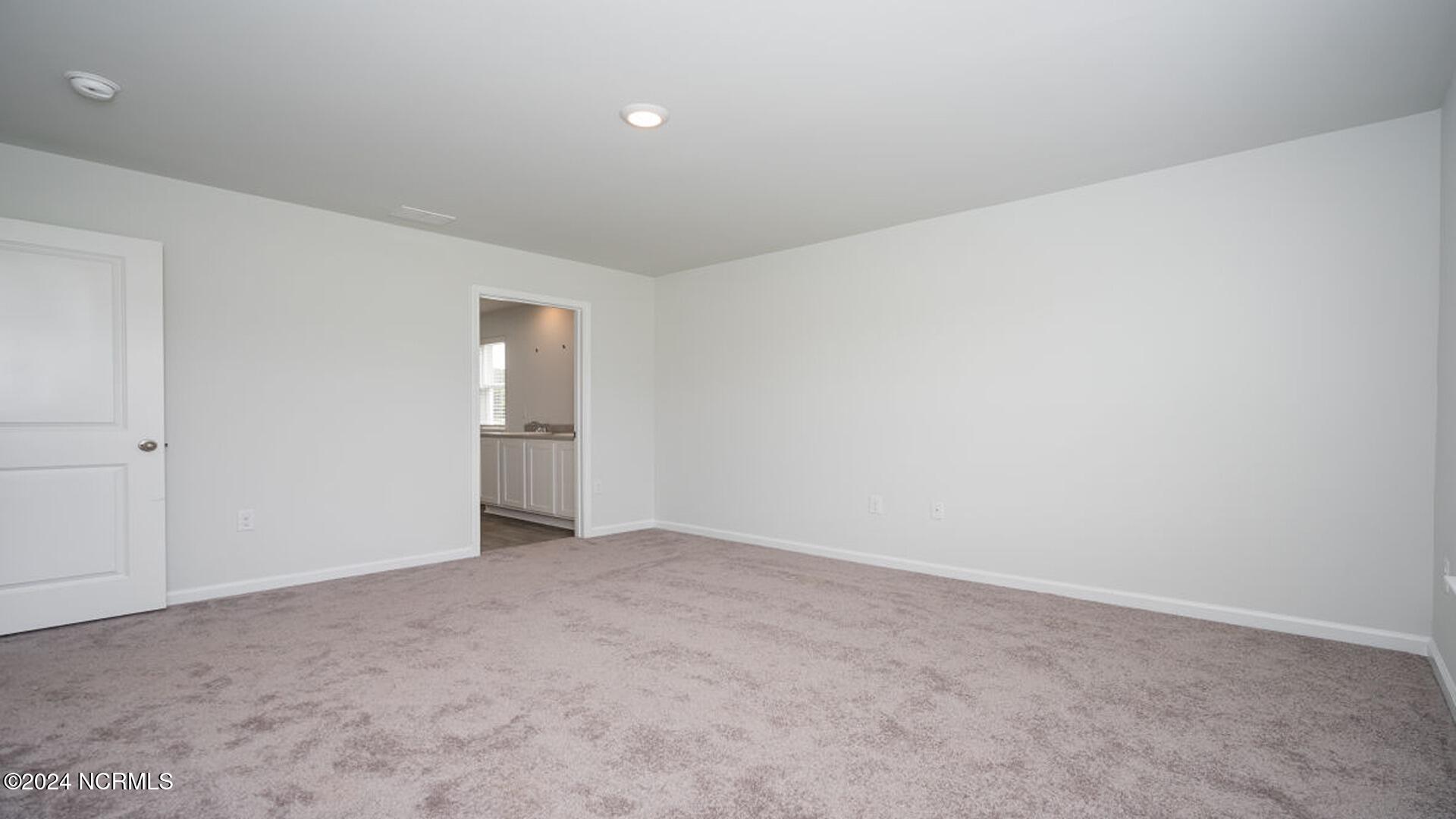 3850 Lady Bug Drive Property Photo 21