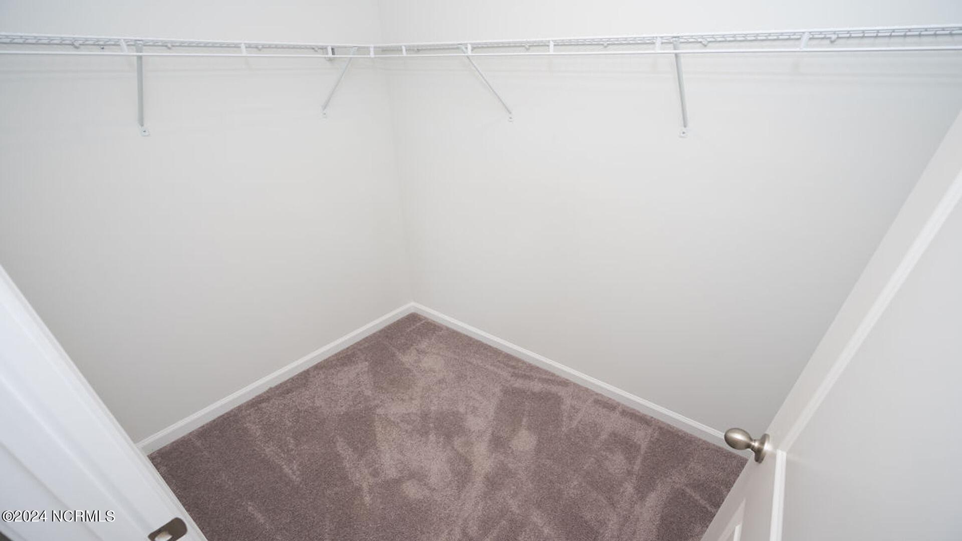 3850 Lady Bug Drive Property Photo 24