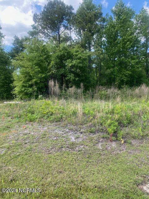 Tract 1 Christian Chapel Road Property Photo 5