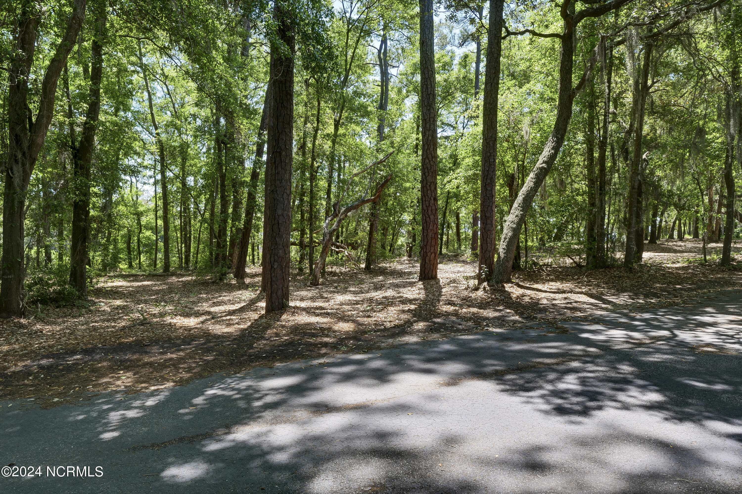 109 Island Bridge Way Property Photo 17