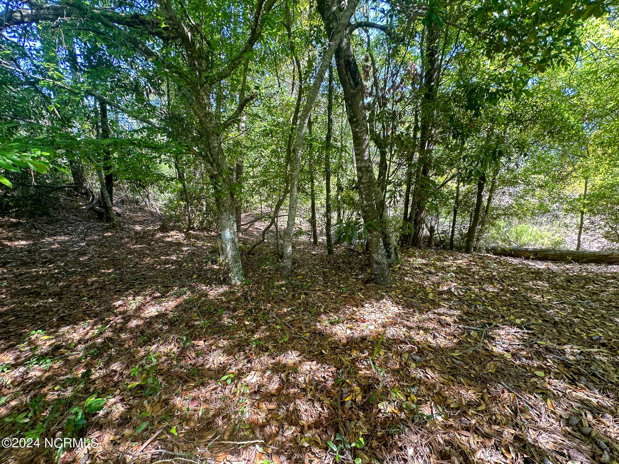 9713 Poseidon Road Property Photo 1