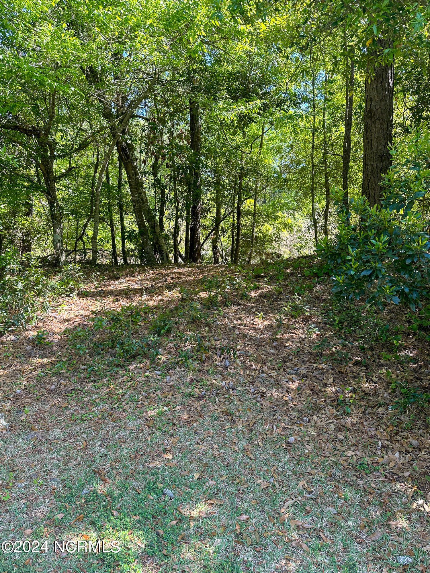9713 Poseidon Road Property Photo 5