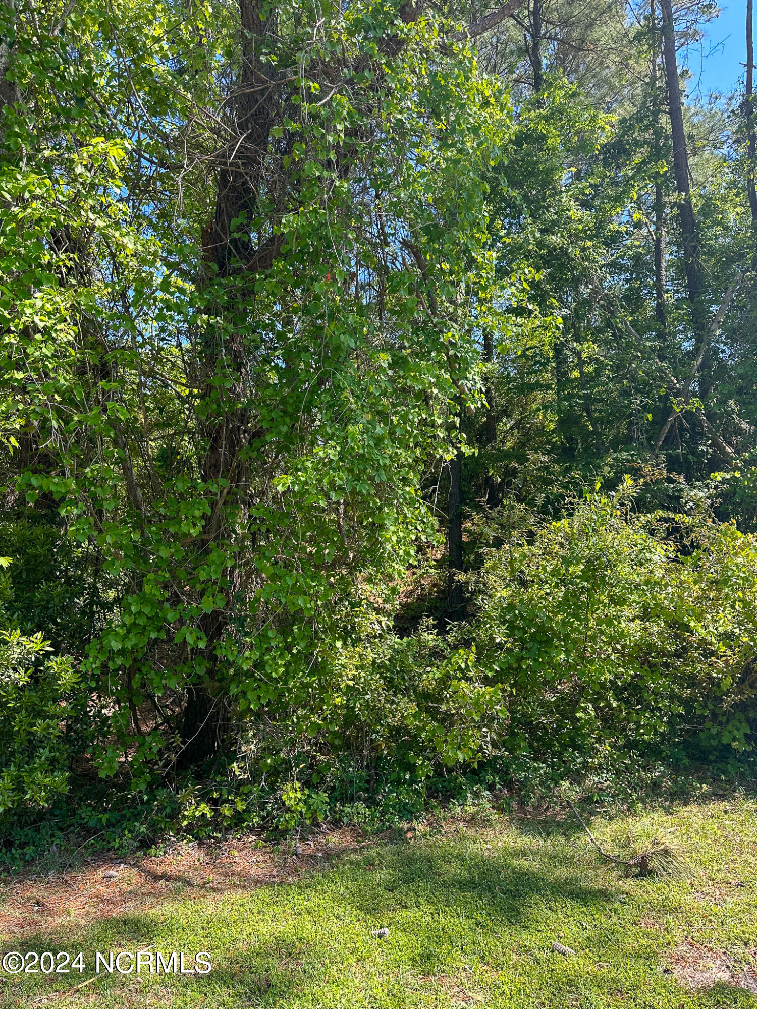 9713 Poseidon Road Property Photo 9