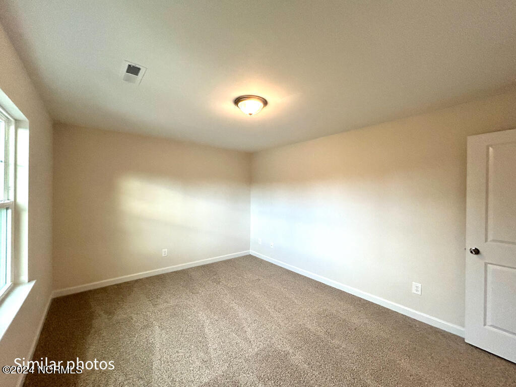 113 Woodford Drive Property Photo 45