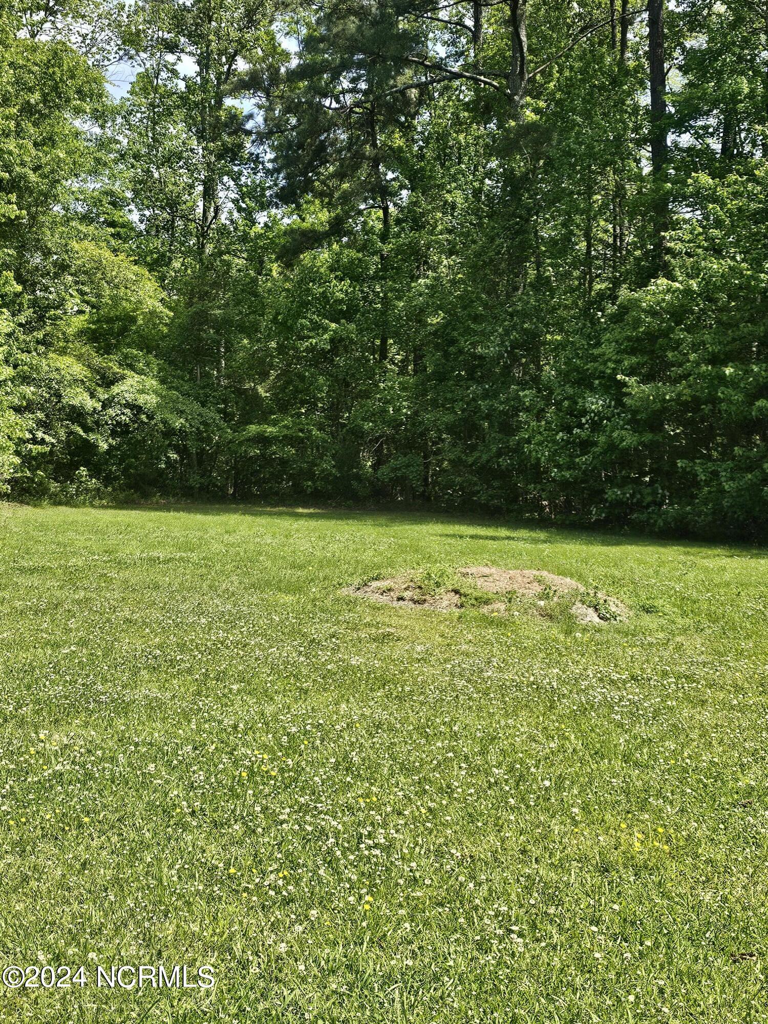 592 Crooked Run Road Property Photo 4