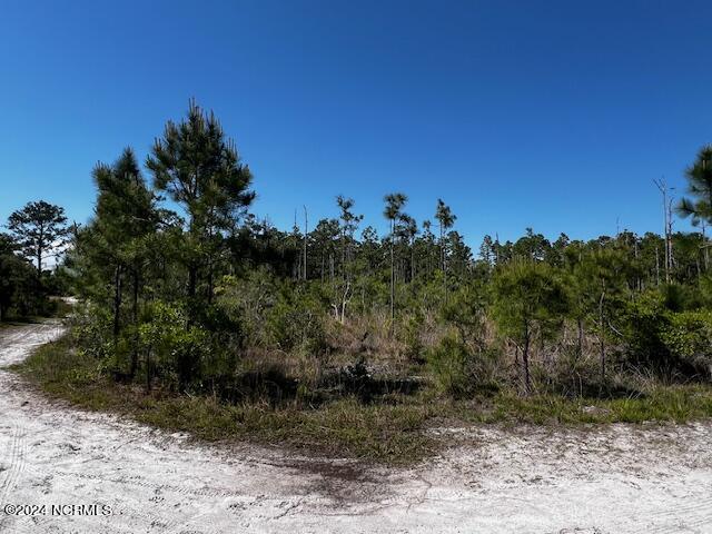 Lot 81 Trevino Road Property Photo 1