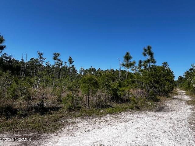 Lot 81 Trevino Road Property Photo 2