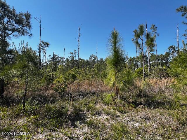 Lot 81 Trevino Road Property Photo 3