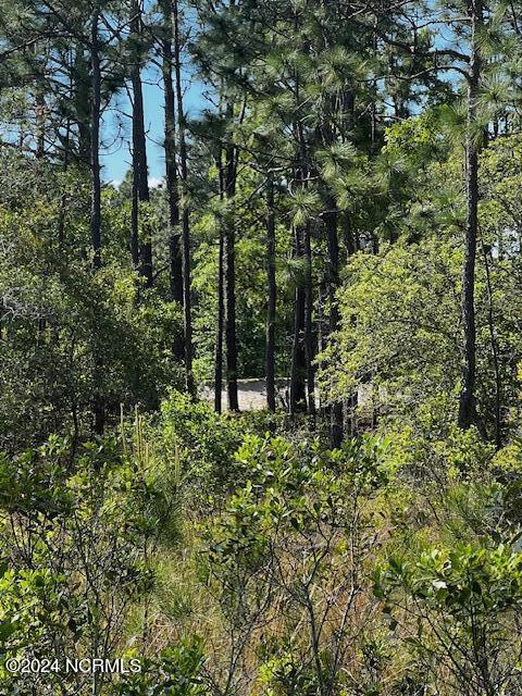 Lot 81 Trevino Road Property Photo 5