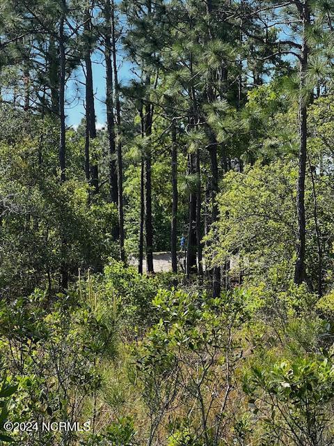 Lot 81 Trevino Road Property Photo 6