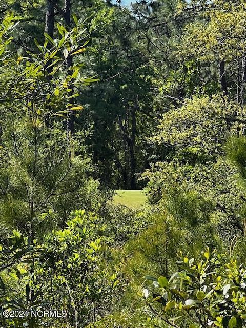 Lot 81 Trevino Road Property Photo 7