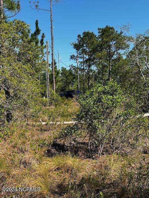 Lot 81 Trevino Road Property Photo 8